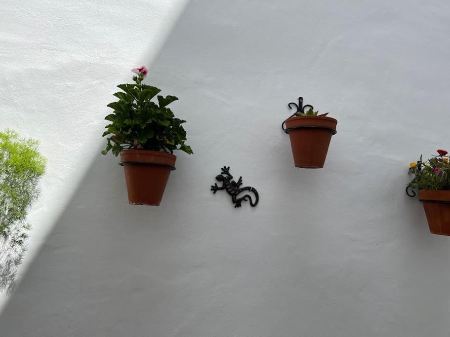 Casa Encantadora 올베라 외부 사진